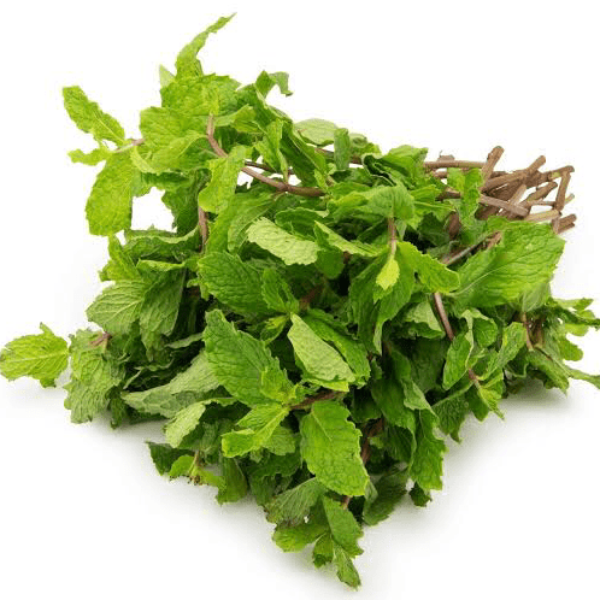 Mint Bunch Whole (ثابت پوڈینا)